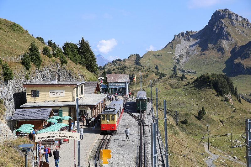 Schynige Platte4